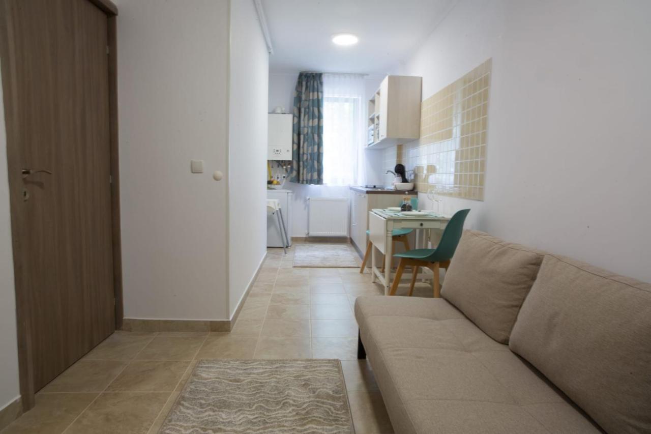Vlad Apartments -Colina Marei Sinaia Eksteriør billede
